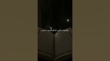 اكتب شيء تؤجر علية.  #قران_كريم #قرآن #تلاوة #المصحف