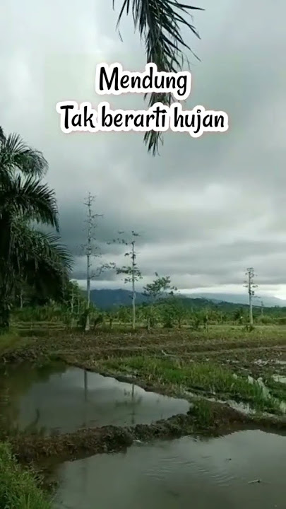 Mendung Tak berarti hujan #shorts