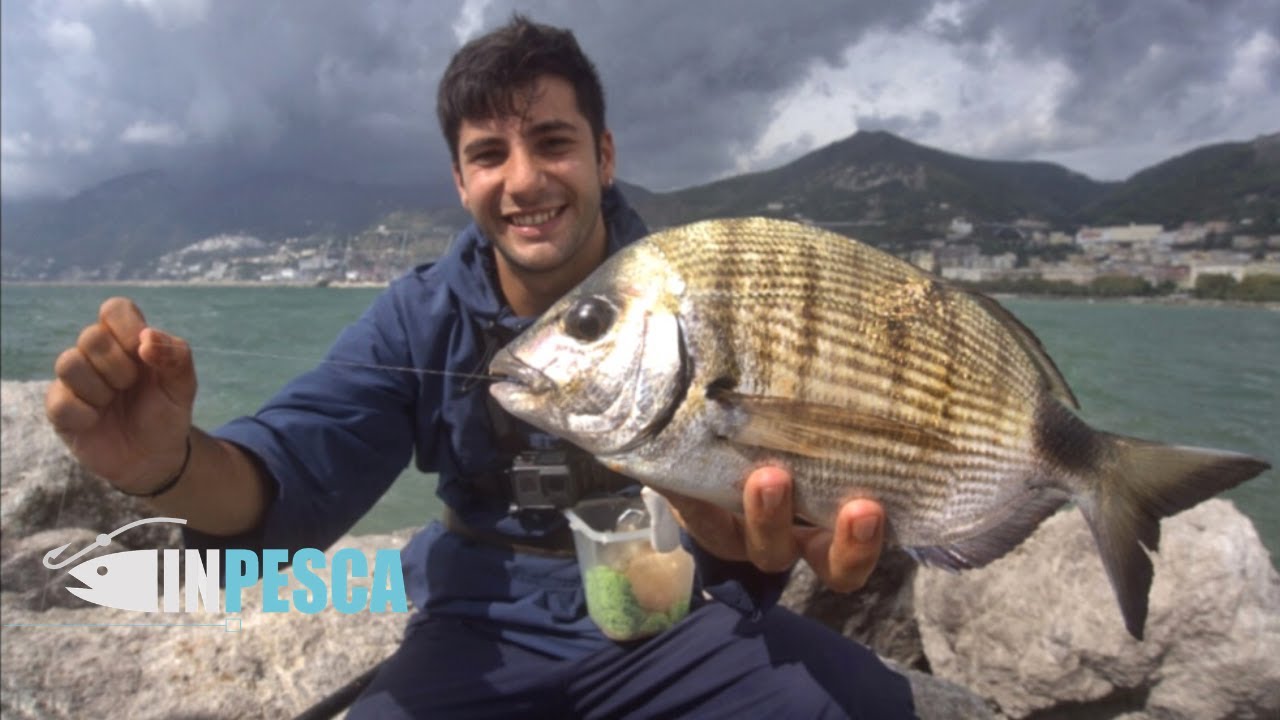 BOLOGNESE EXTREME Ritorna la Pesca al SARAGO nella SCHIUMA con MARE MOSSO YouTube BOLOGNESE EXTREME Ritorna la Pesca al SARAGO nella SCHIUMA con MARE MOSSO YouTube