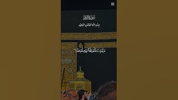 #سورة الزمر #القرآن_الكريم #راحة_نفسية