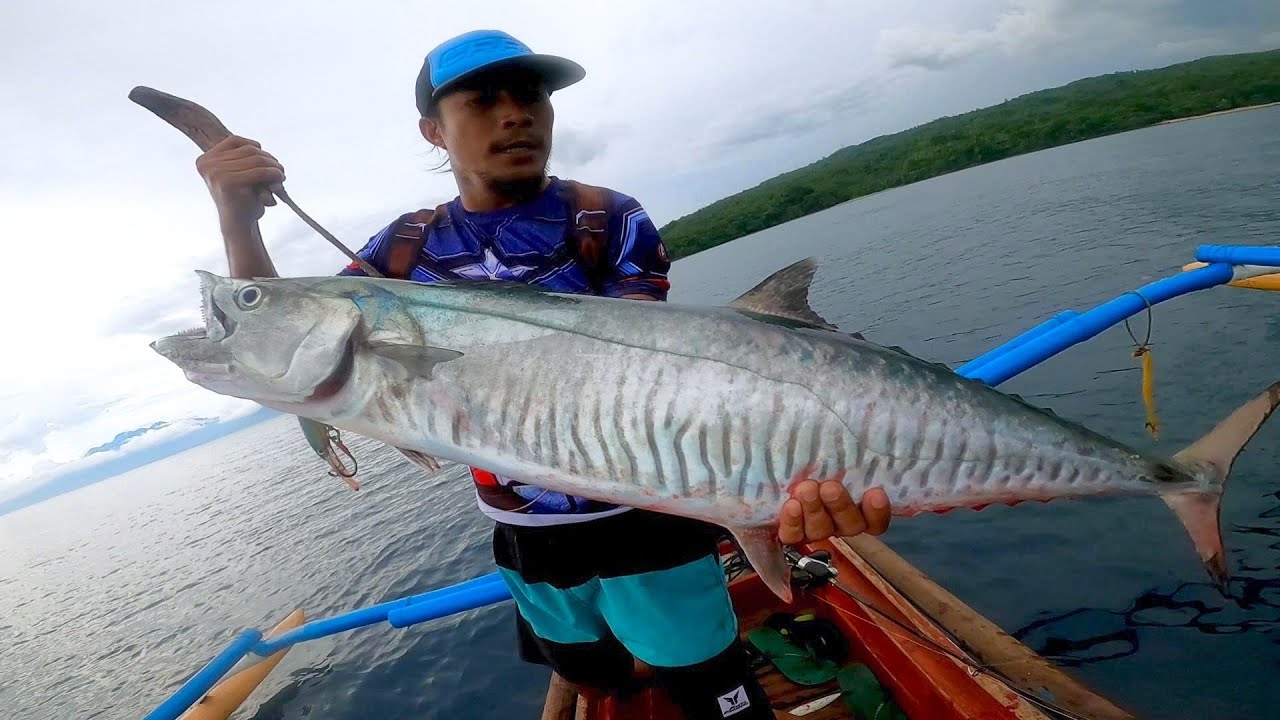 8 Tanigue landed using only 22 grams Tsurinoya Lures and Improvised Rapala | How to do Trolling