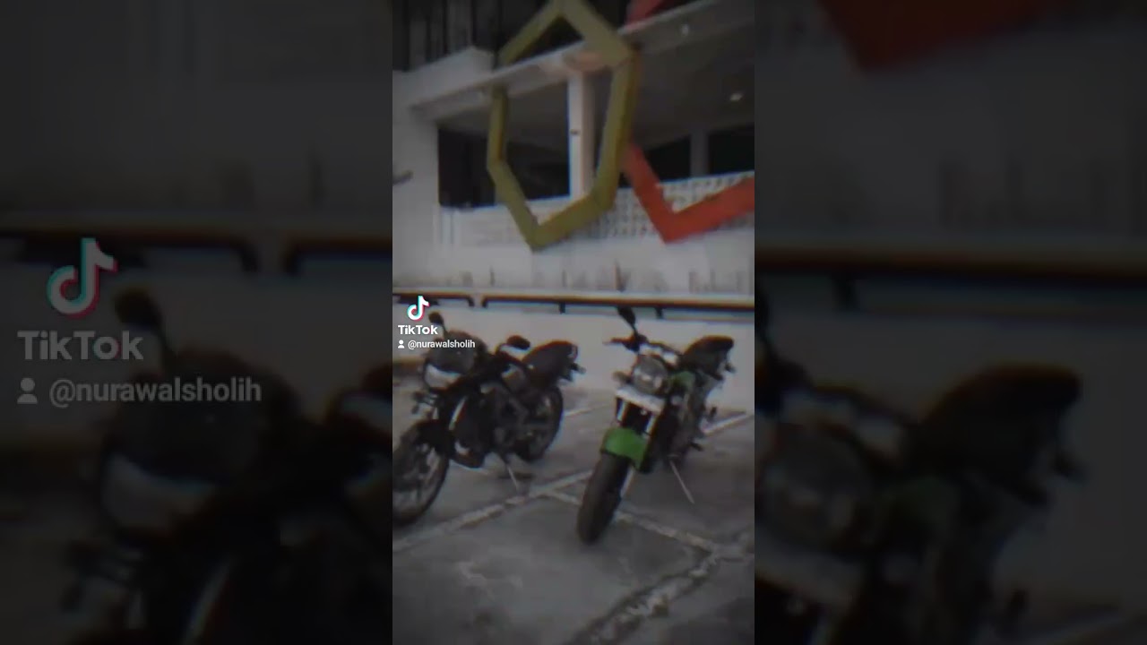 Ninja Ss Kleporn 