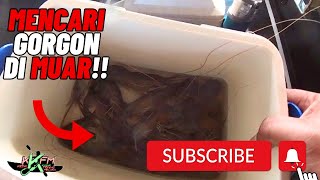 MANCING UDANG DI BAWAH JAMBATAN MUAR!! | IB MALAYSIA