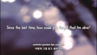 Kim Yeon Woo- You Are My Love lyrics [Eng. | Rom. | Han.]