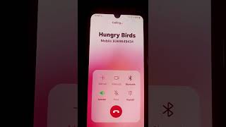 Hungry Birds Real Number