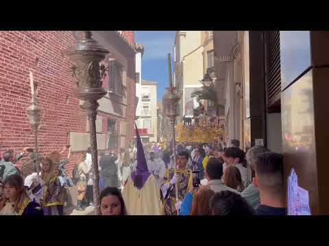 Real Cofradía de Nuestro Padre Jesús a su Entrada en Jerusalén y María Santísima del Amparo