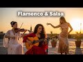 Flamenco Violin Salsa LIVE | Romantic Latin Instrumentals