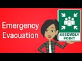 Emergency Evacuation - Animated Workplace Safety #firedrill #fireemergency  #emergencyevacuation