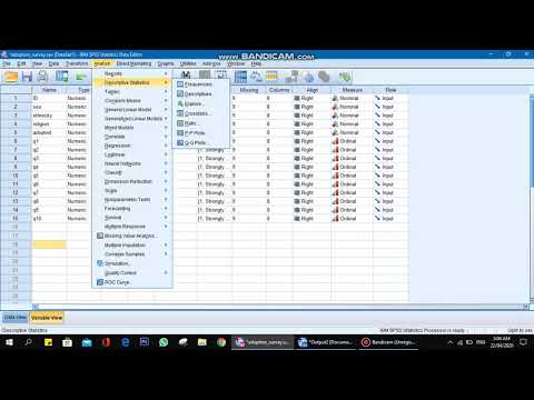 2nd Data Handling Command Split the File on SPSS.