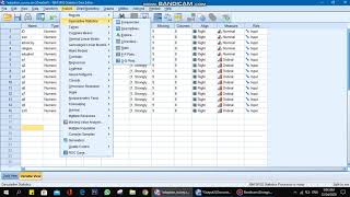 2nd Data Handling Command Split the File on SPSS.