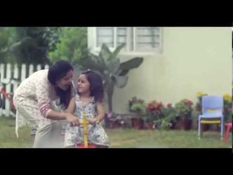 Dulux Paints Commercial 2013