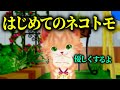 ネコトモ 虐待プレイ #1