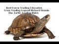 Turtle Trading System - Richard Dennis Turtle Rules for Forex Trading Success