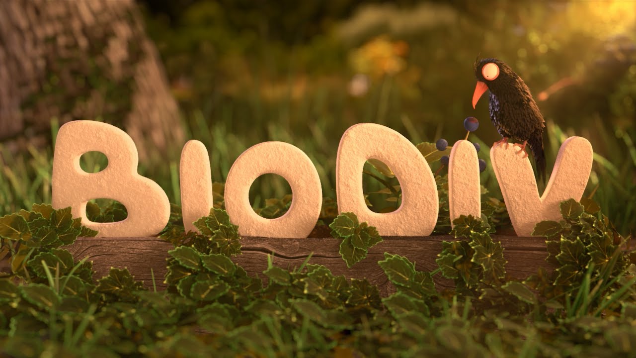 L'IMPORTANCE DU LIERRE POUR LES ANIMAUX (CAPSULE 1 - BIODIV)