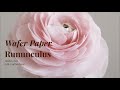 How to make a ranunculus wafer paper flower