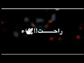 ستشهاد السيده رقيهعحالات واتساب باسم الكربلائي 2020 لطميات حسينيه ستوريات محرم 2020 mp3