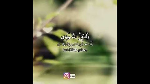 سورة القصص: ٥٦|Al Qasas: 56|رعد الكردي|Raad alKurdy|قرآن اردو ترجمہ| Quran with Urdu Translation