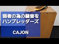 弱者の為の騒音を/ハンブレッダーズ/弾き語り用