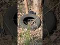 Kawałek opony jako dobra podpałka w sytuacjach podbramkowych. #silesiasurvival #fire #survival