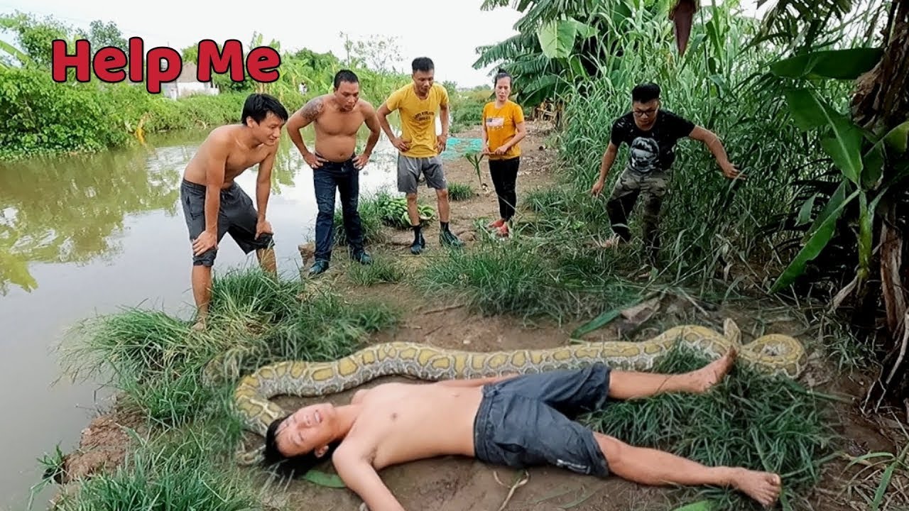 TOP 1 VIDEO | hunting for a giant python by the river - YouTube