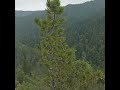 Байкал  Чертов палец