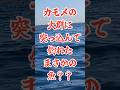 #カモメの大群に突撃して魚釣り #ミニボート #切り抜き #ロングジグ #ジギングは男のロマン