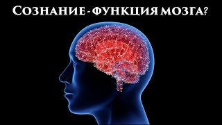 Ушаков В.Л. Исследования головного мозга.