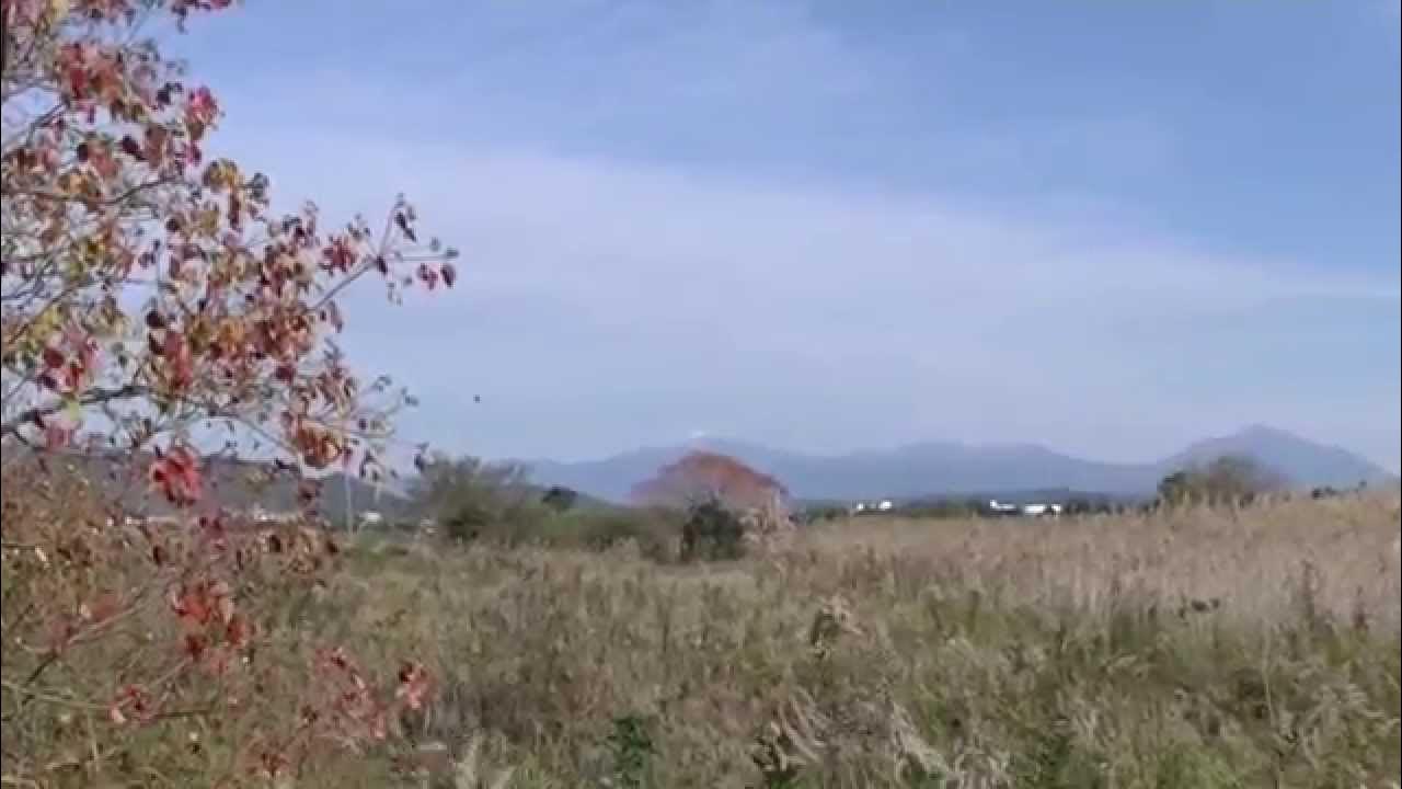 霧島市隼人町真孝海岸・クロツラヘラサギの越冬地区・20141208 YouTube 霧島市隼人町真孝海岸・クロツラヘラサギの越冬地区・20141208 YouTube