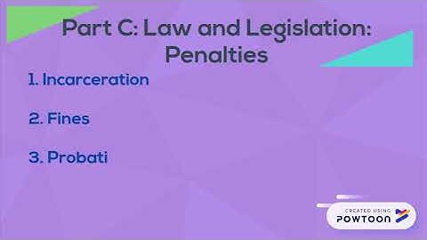 Computer Ethics: Email Fraud Case Study