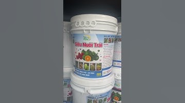 Siêu trái mận An Phước và cam quýt nhe