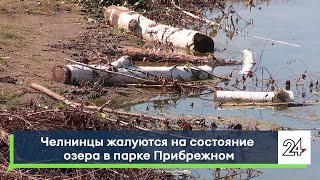 Мусор, ветки, упавшие деревья / Челнинцы жалуются на состояние озера в парке Прибрежном