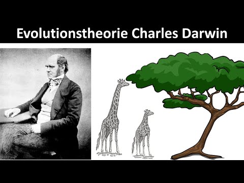 Darwins Reise ins Paradies der Evolution - DOKU