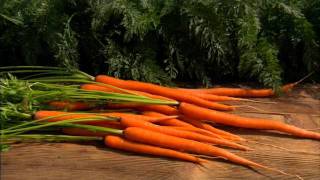 Grimmway Farms – Growing the Best for You and Your Family Since 1969