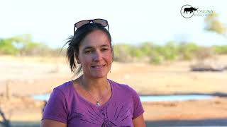 Ongava Research Centre - Camera trapping 101 with Stéphanie Périquet