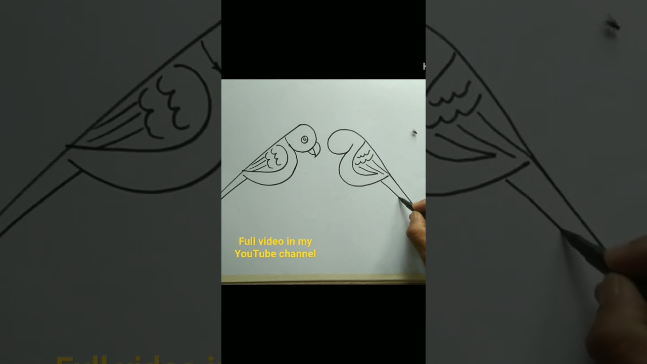 how to draw a parrot scenery