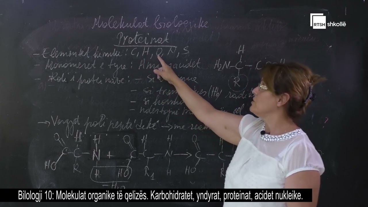 Molekulat organike të qelizës. Karbohidratet, yndyrat, proteinat| Bilologji 10
