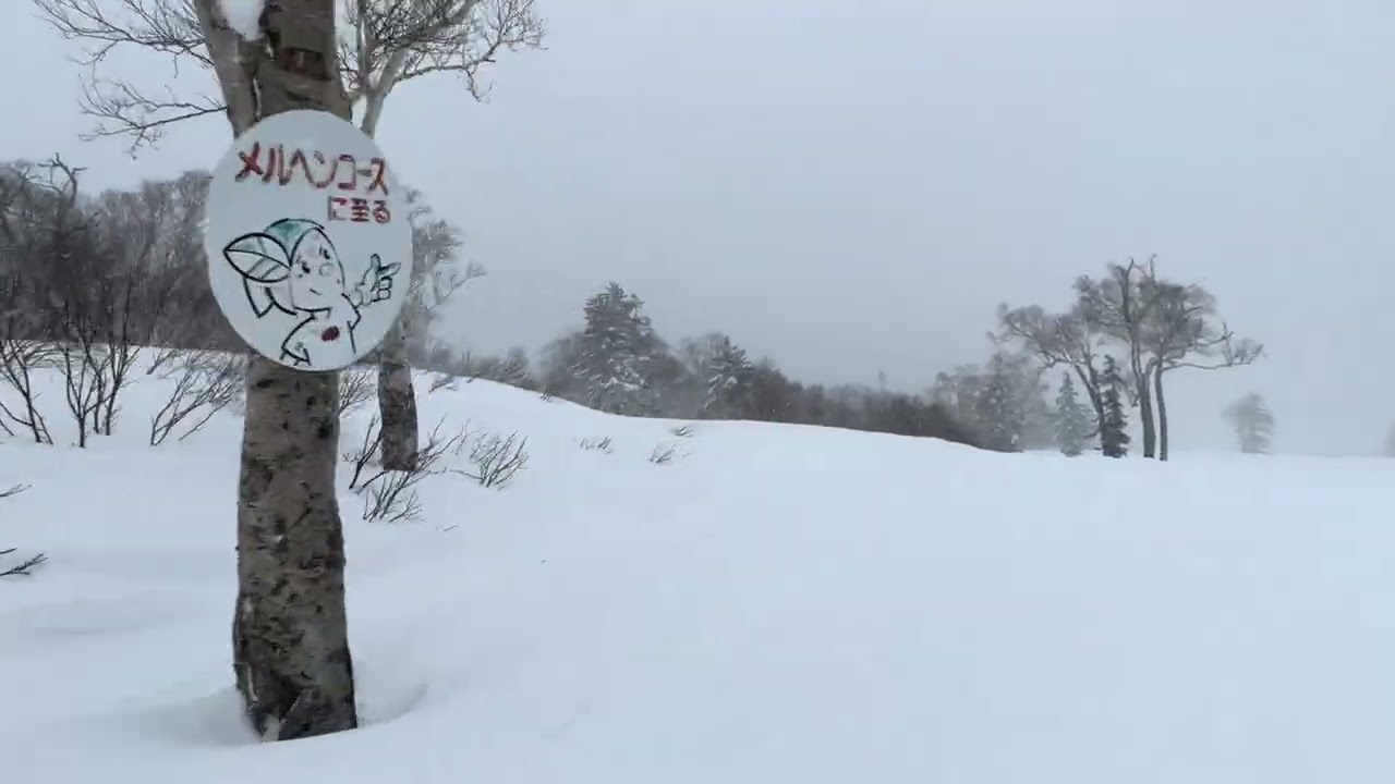 何コレ？2026.2.16札幌国際スキー場ずっと降ってた😳天気予報外れたのか？楽しかったから良いけど… #ゲレンデ 