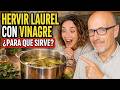 🍃 HERVIR HOJAS DE LAUREL CON VINAGRE ¿PARA QUE SIRVE? ¿QUE BENEFICIOS NOS DA? 🍃