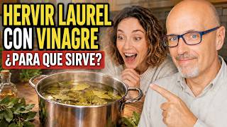 🍃 HERVIR HOJAS DE LAUREL CON VINAGRE ¿PARA QUE SIRVE? ¿QUE BENEFICIOS NOS DA? 🍃