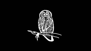 Nebulosa - Crepuscular Battle in a Distant Woodland Town (FULL ALBUM 2017)
