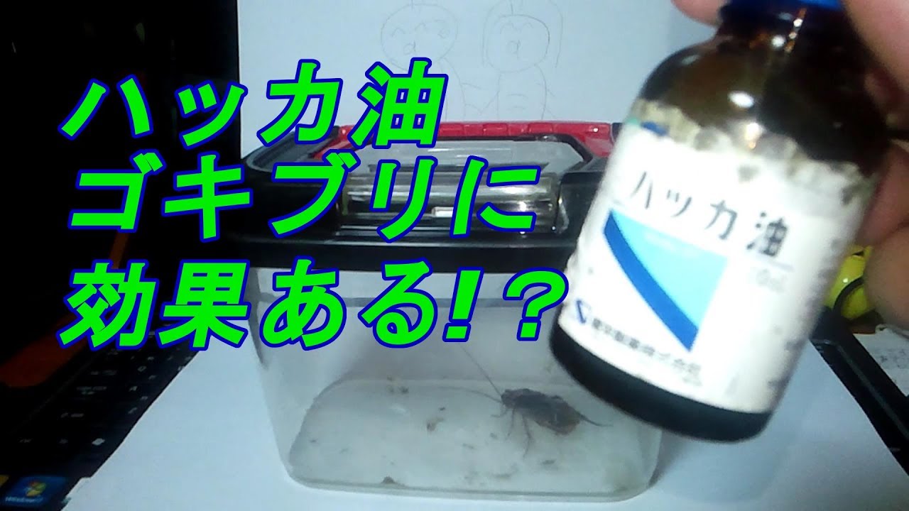 害虫対策 ハッカ油ゴキブリに効くか試してみた Pest Control Measures I Tried It To Be Effective For Peppermint Cockroaches Youtube