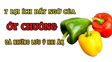 7 Tác dụng tuyệt vời của Ớt Chuông đối với sức khoẻ | Yêu Sống Khoẻ