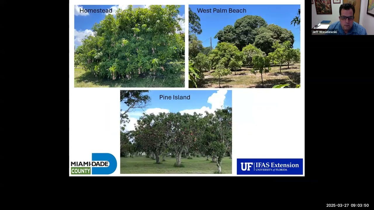 Tropical Fruit New Growers' Workshop: Mango