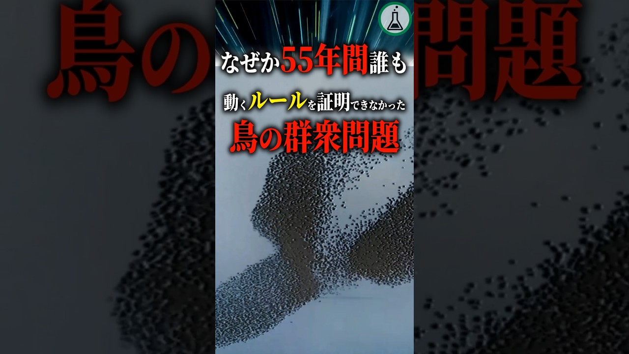 The mystery of bird flocks: why no one has been able to prove the