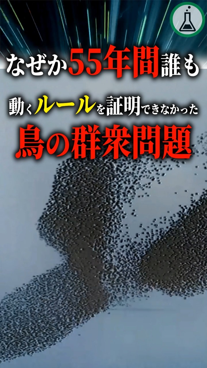 The mystery of bird flocks: why no one has been able to prove the