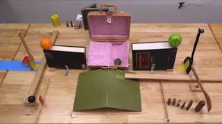 Another Rube Goldberg Machine Pass the Salt
