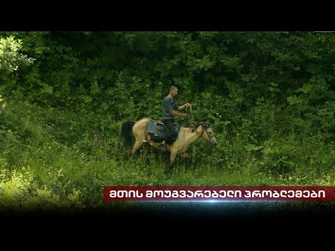 მთის მოუგვარებელი პრობლემები | \"პოსტ ფაქტუმი\" პირაქეთა ხევსურეთიდან