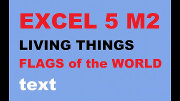 EXCEL 5 for KZ M2 FLAGS OF THE WORLD text