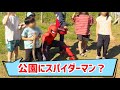 葛西臨海公園にスパイダーマン現る!?ヒーローが本気でゴミ拾いしてみた【Spider-Man】