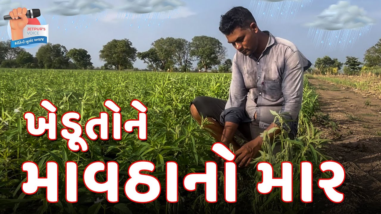 જેતપુરમાં કમોસમી વરસાદ, માવઠાંથી ખેડૂતો ચિંતિત 
